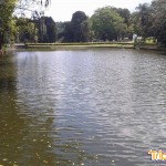Lago do Parque da CantareiraParque da Cantareira